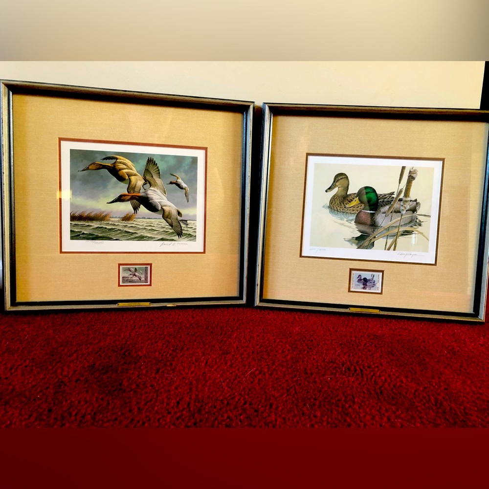 LIMITED Federal Duck Stamp Prints | ORIGINALS | Mallards & Canvasbacks